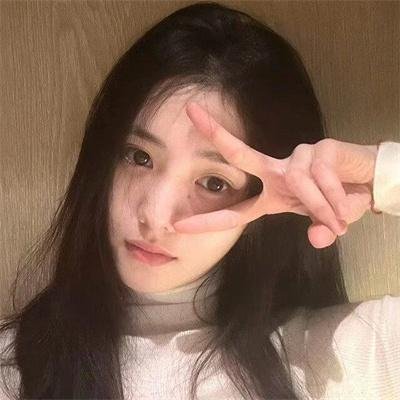 这是我的岛封面